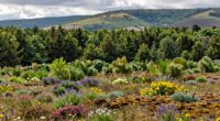 ecological variation across sites