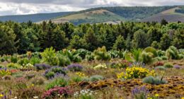 ecological variation across sites