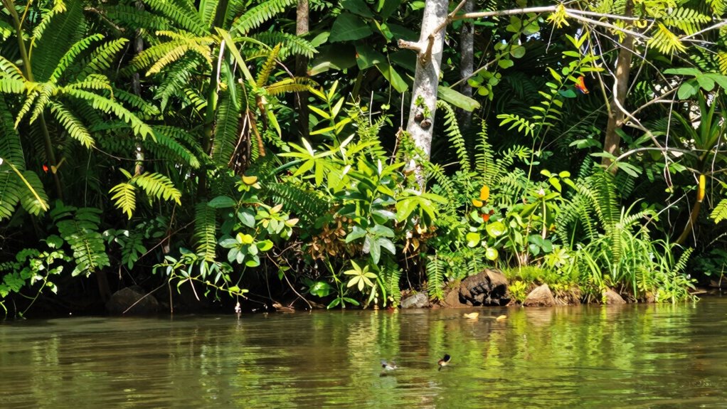 ecotones foster biodiversity resilience