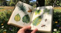 enhancing observational skills through journaling