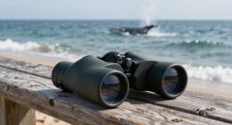 essential features for viewing