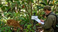 flexible conservation strategy