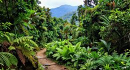 importance of buffer zones