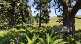 land preservation through agreements