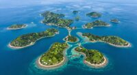 population dynamics and connectivity