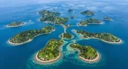 population dynamics and connectivity