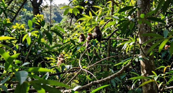 population size impacts survival