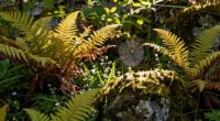 protecting everyday natural spaces