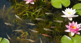 small water bodies matter