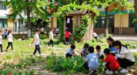 teachers enhancing lively schoolyards
