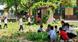 teachers enhancing lively schoolyards