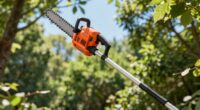 top battery powered pole saws