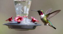 top leak proof feeders