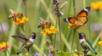 top pollinator field guides