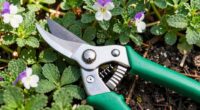 top pruning tools list