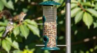 top squirrel proof bird feeders