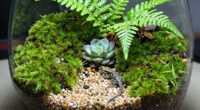 top terrarium kits review