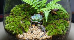 top terrarium kits review