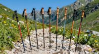 top trekking poles 2026