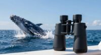 top whale watching binoculars