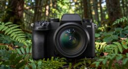 top wildlife mirrorless cameras