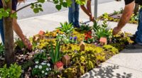 transforming sidewalk beds habitats