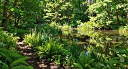 transition zones support diversity