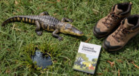 Alligators injure three, one fatally, in string of attacks in Florida