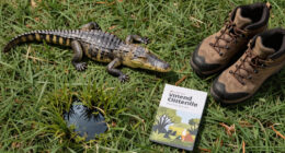 Alligators injure three, one fatally, in string of attacks in Florida