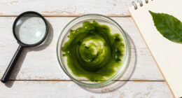 E Pluribus Algae: Why Green Pond Scum Is as American as Red, White and Blue