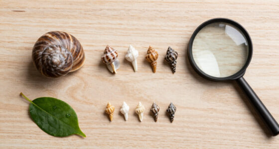 Snails' teeth beats spider silk as nature's strongest material (2015)