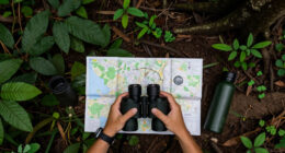 Odzala-Kokoua National Park Surges In Global Coverage