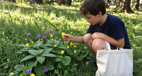 13 Best Botanical Field Guides for Beginners in 2027