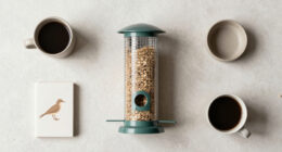 15 Best Winter Wildlife Feeders in 2027