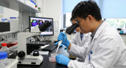 Loss Of Cell Identity Drives Human Aging: Two New Papers