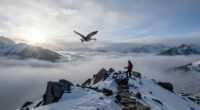 Why Birds Can Fly Over Mount Everest (2020)