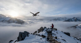 Why Birds Can Fly Over Mount Everest (2020)